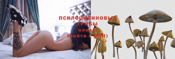 apvp Богданович