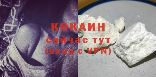 apvp Богданович