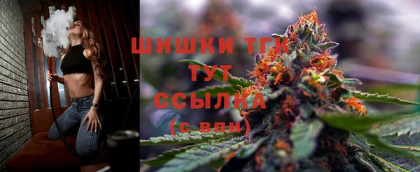 apvp Богданович