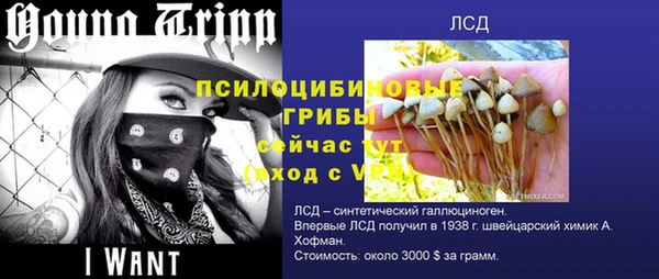 мдма Богородск