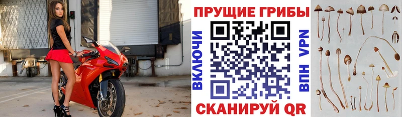 Псилоцибиновые грибы MAGIC MUSHROOMS  Купить  Октябрьск 